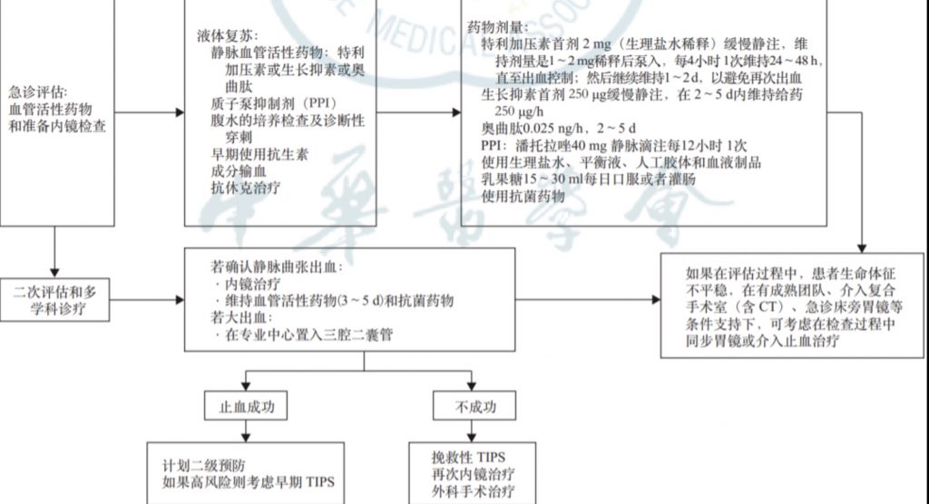 门静脉高压出血急救流程